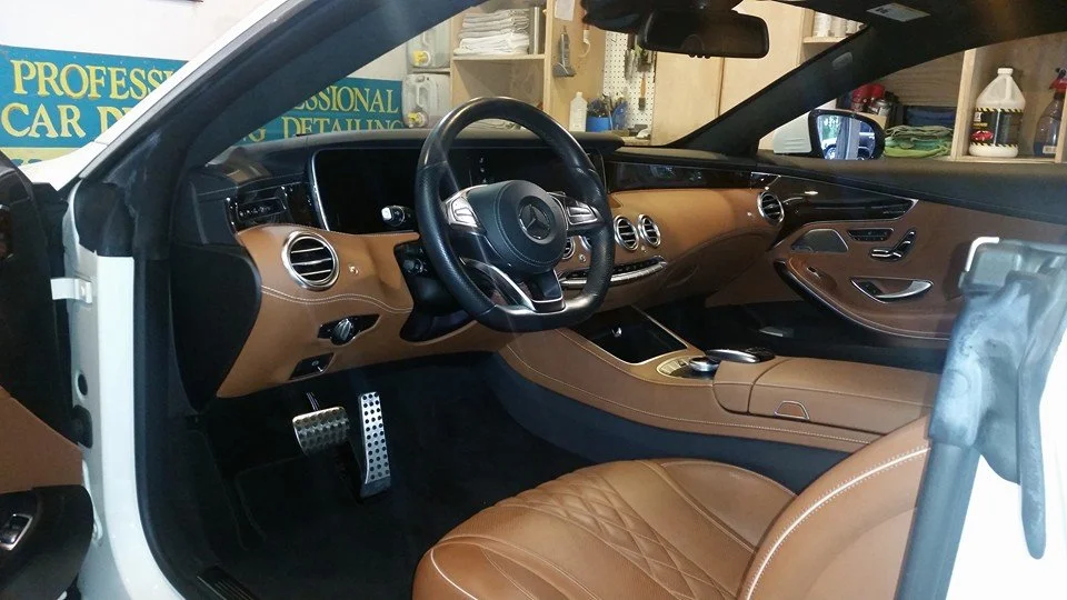 Professional pet hair removal from vehicle interior at Professional Car Detailing in Locust Valley, NY